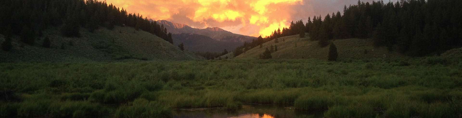 Contact Information Contact Information